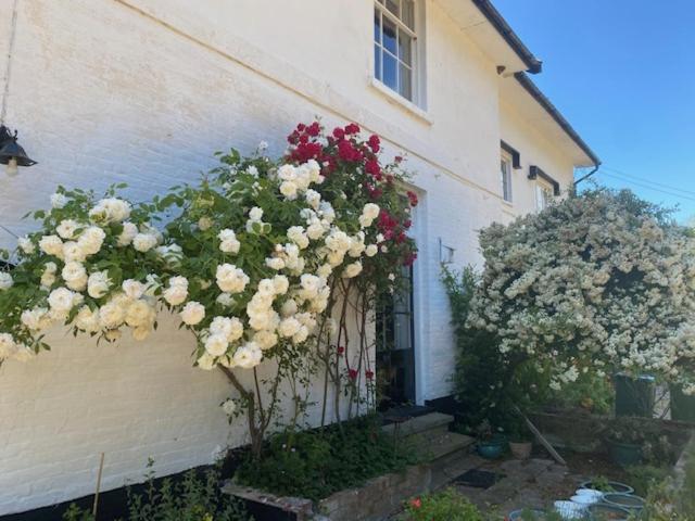 Old Rectory - Scoulton Apartment Great Ellingham Екстериор снимка