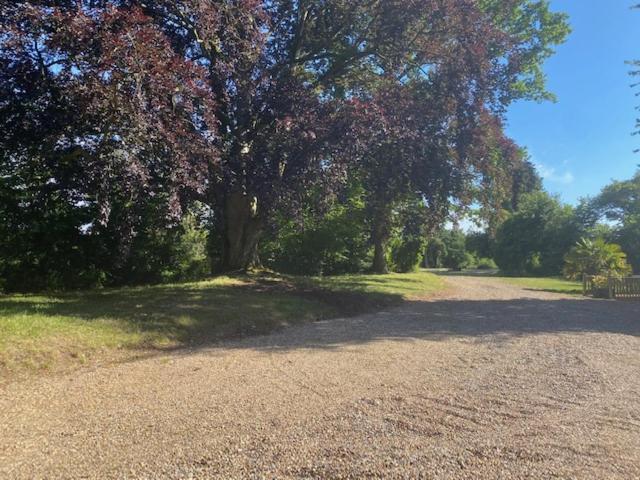Old Rectory - Scoulton Apartment Great Ellingham Екстериор снимка