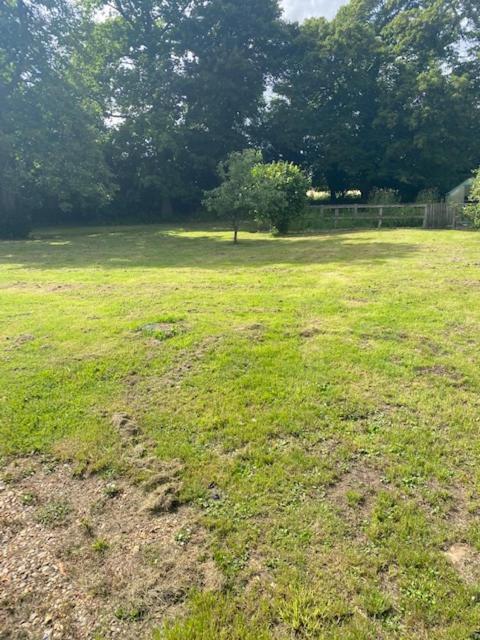 Old Rectory - Scoulton Apartment Great Ellingham Екстериор снимка
