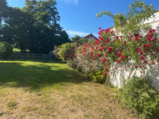 Old Rectory - Scoulton Apartment Great Ellingham Екстериор снимка