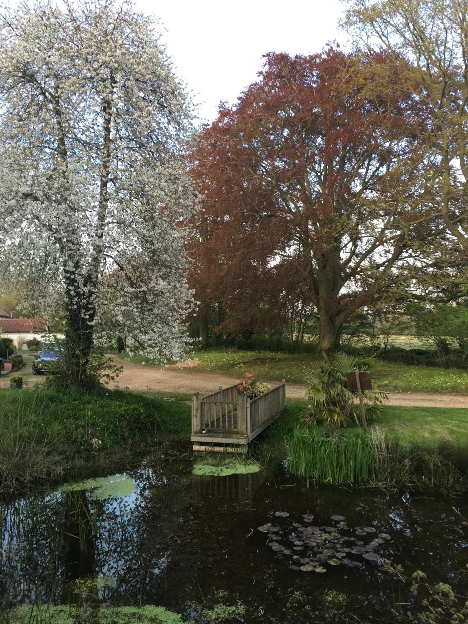 Old Rectory - Scoulton Apartment Great Ellingham Екстериор снимка